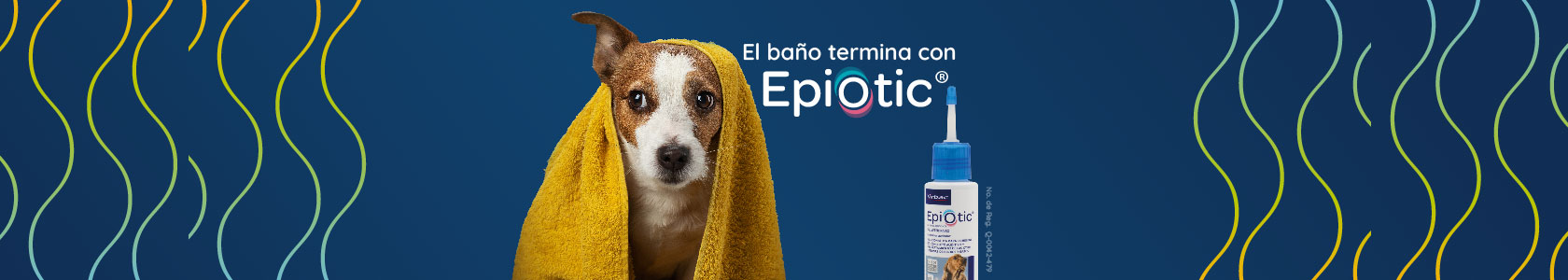 Banners sitio web Banners sitio web